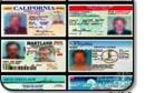 how are fake ids made reddit